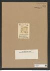Triceratium dulce Grev. (de-Toni-Nr.: Genus 140, Species 3902) Zeichnungen Sammlung Grunow Nr. 7388 (NHMW-BOT-W0376457)